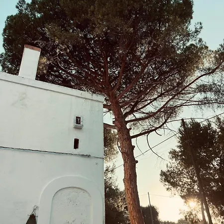 Lejlighed Barnabeto Country